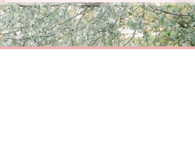 gottahaveseconds.com snapshot