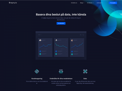 brayny.se snapshot