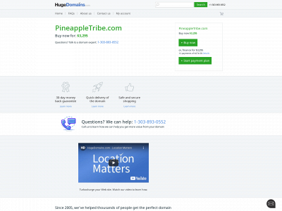 pineappletribe.com snapshot