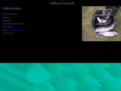 hulkaer-fiskeri.dk snapshot