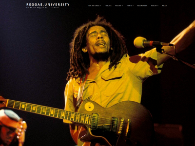 reggae.university snapshot