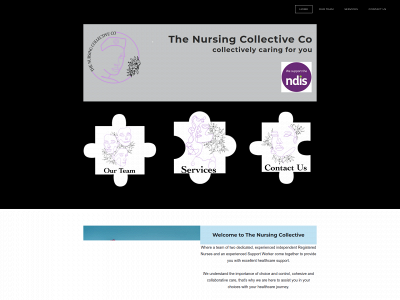 thenursingcollective.com.au snapshot