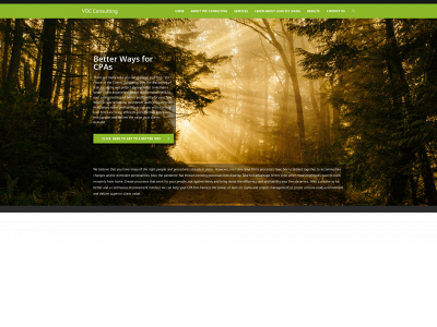 vocconsulting.net snapshot