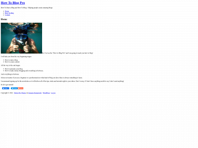 howtoblogpro.com snapshot