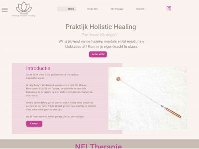 praktijkholistichealing.nl snapshot