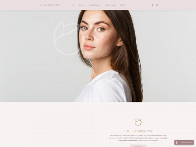 theblushington.com snapshot