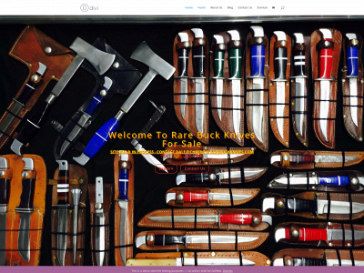 rarebuckknives.com snapshot