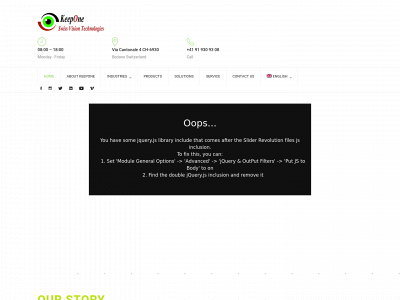 keepone-sortingsystems.com snapshot