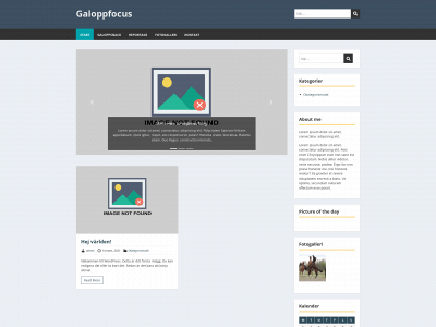 galoppfocus.one snapshot