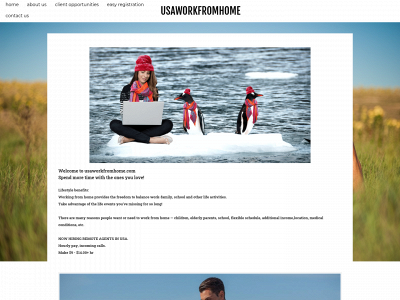 www.usaworkfromhome.com snapshot