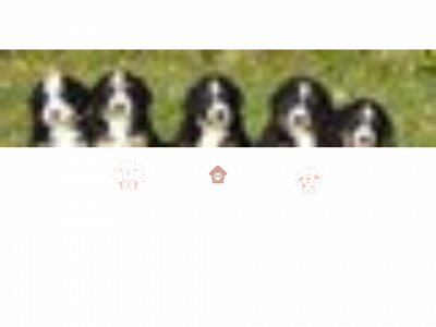 bernerangens.se snapshot