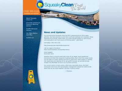 squeakycleancc.com snapshot