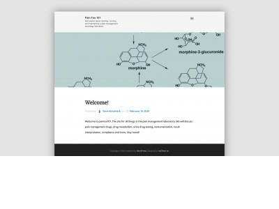 paintox101.com snapshot