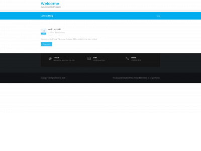 spineexperience.com snapshot