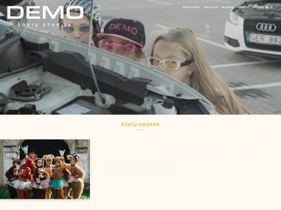 demostudija.lt snapshot