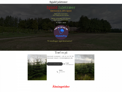 spjaldjuletraeer.dk snapshot