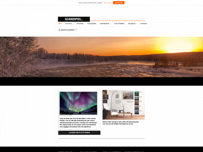 scandipixl.se snapshot