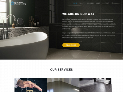 totalteamwaterproofing.com snapshot