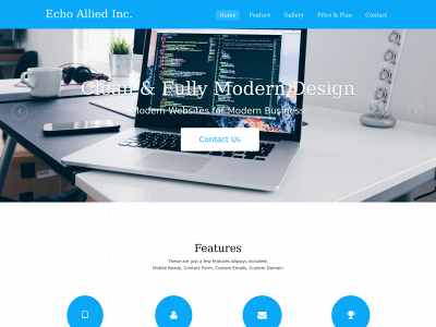 echoallied.com snapshot