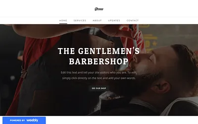 pwrclean.weebly.com snapshot