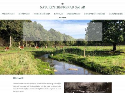 naturentreprenadsydab.se snapshot