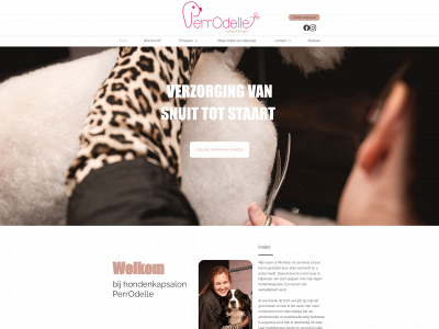 perrodelle.be snapshot