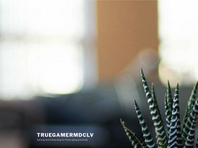 truegamermdclv.com snapshot