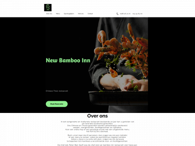 new-bambooinn.be snapshot
