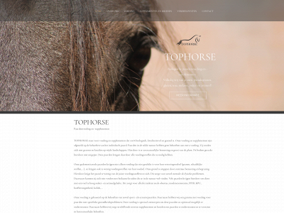 tophorse.be snapshot