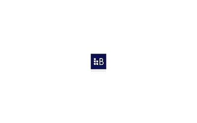 bearnpartners.com snapshot
