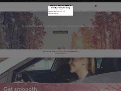 citytrafikskola.net snapshot