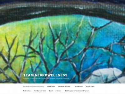 teamneurowellness.com snapshot