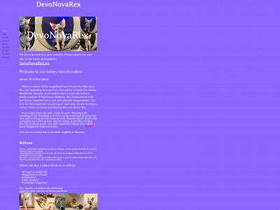 devonovarex.com snapshot