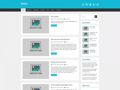 baatferie.one snapshot