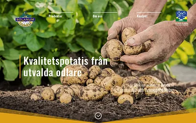 solanumkalmar.com snapshot