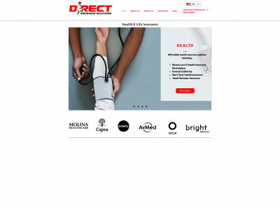 www.directinsurancesol.com snapshot