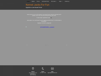 jacksforfun.com snapshot