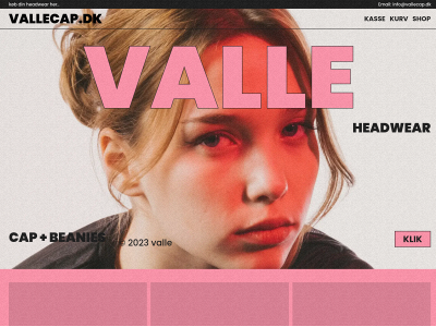 vallecap.dk snapshot