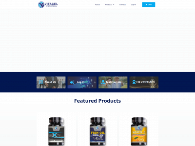 vitacelinternational.com snapshot