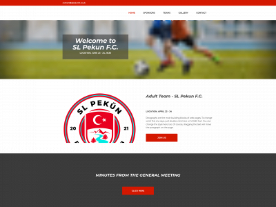 slpekunfc.co.uk snapshot