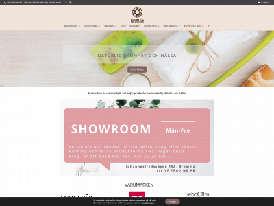 cosmetictreasures.se snapshot