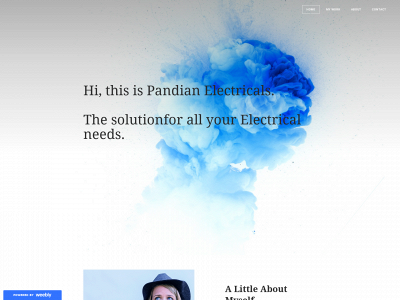 pandianelectricalservice.weebly.com snapshot