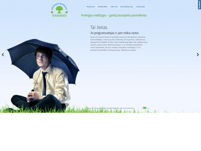 protingosmedziagos.lt snapshot