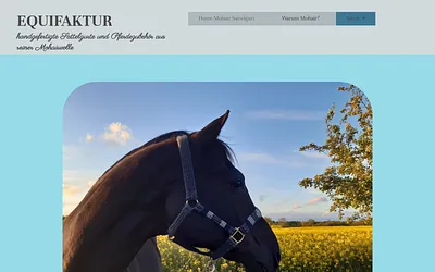 equifaktur.de snapshot