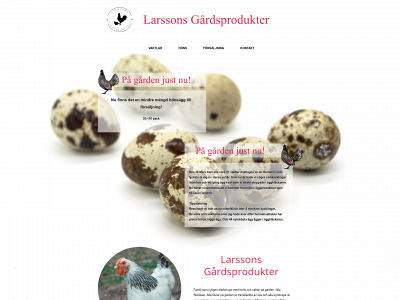 larssonsgardsprodukter.se snapshot