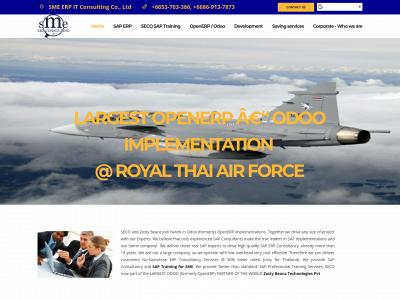 sme-erp-it-consulting.com snapshot