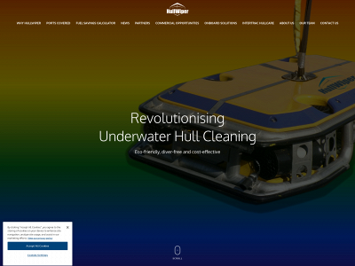 hullwiper.co snapshot