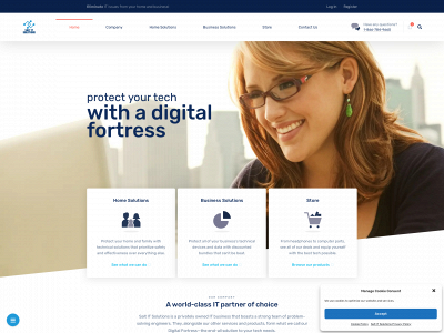 www.saltitsolutions.net snapshot