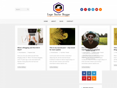 eagerbeaverblogger.com snapshot
