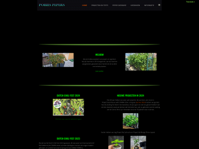 pobezin.com snapshot